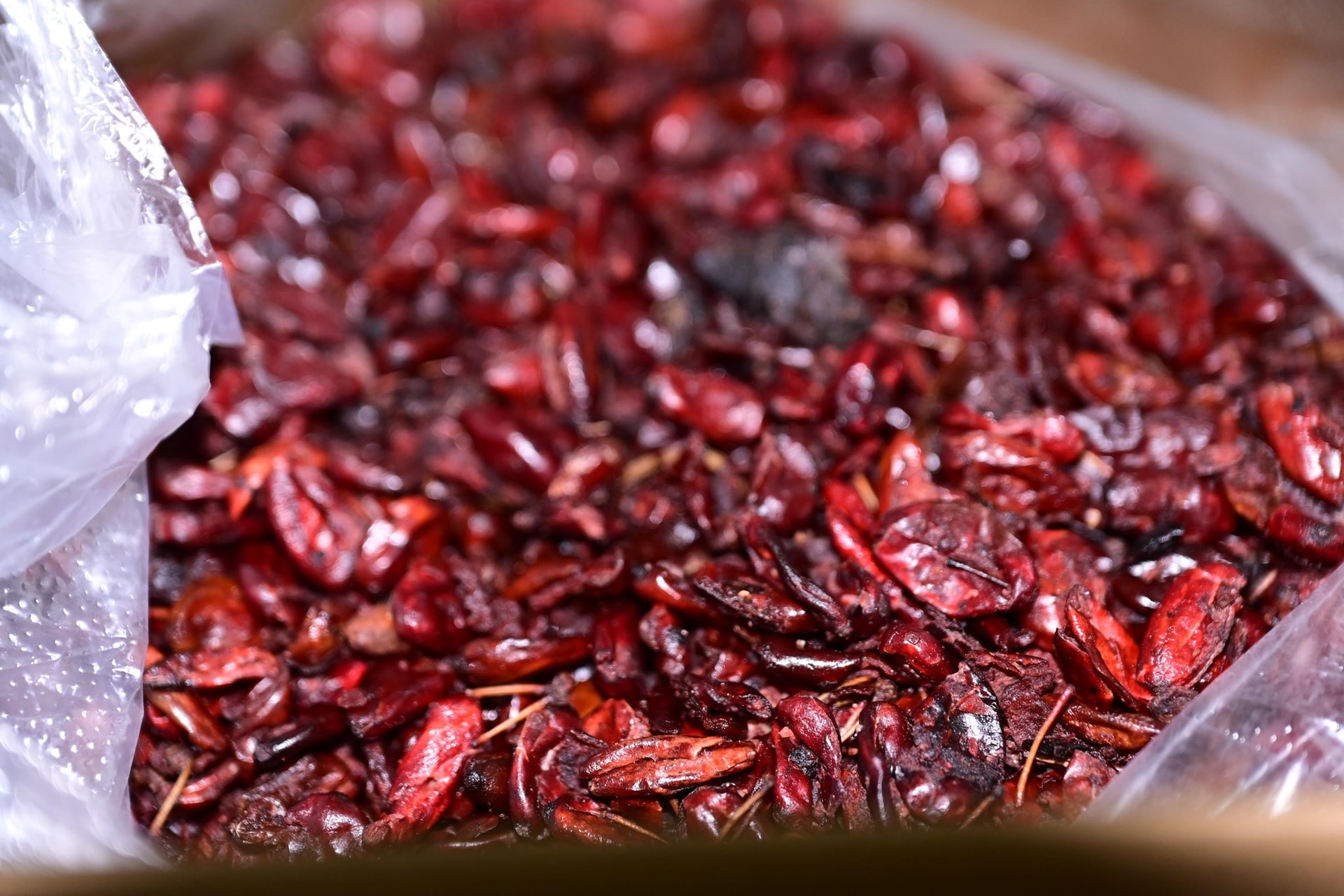 Lừa bán thuốc đông y giả chữa xương khớp, 2 phụ nữ bị tạm giữ hình sự- Ảnh 1. Lừa bán thuốc đông y giả chữa xương khớp, 2 phụ nữ bị tạm giữ hình sự- Ảnh 1.