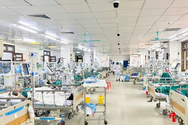 Cấp cứu, điều trị thành công bệnh nhân suy đa tạng do ong vò vẽ đốt- Ảnh 2.