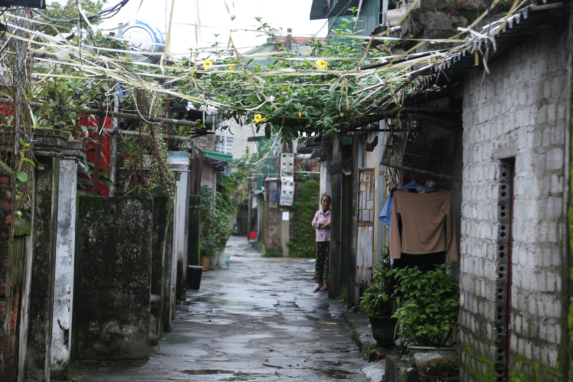 Sống khổ trong khu tập thể gần nửa thế kỷ- Ảnh 20.