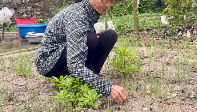 Vượt mặc cảm của 'căn bệnh thế kỷ' để đồng hành với những mảnh đời mang 