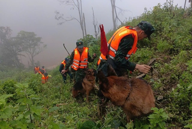 Đội mưa, lội bùn tìm 3 người mất tích trong vụ sạt lở kinh hoàng ở vùng cao Đà Nẵng- Ảnh 3. Đội mưa, lội bùn tìm 3 người mất tích trong vụ sạt lở kinh hoàng ở vùng cao Đà Nẵng- Ảnh 3.