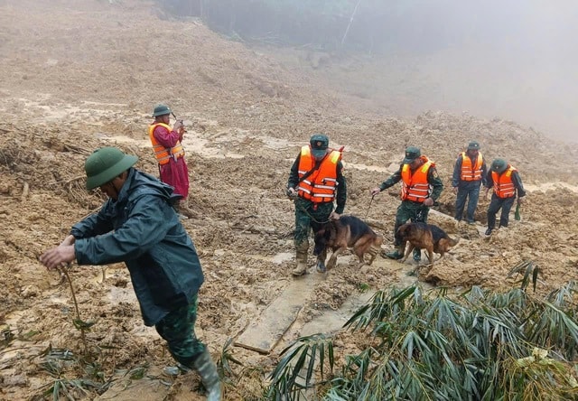 Đội mưa, lội bùn tìm 3 người mất tích trong vụ sạt lở kinh hoàng ở vùng cao Đà Nẵng- Ảnh 2. Đội mưa, lội bùn tìm 3 người mất tích trong vụ sạt lở kinh hoàng ở vùng cao Đà Nẵng- Ảnh 2.
