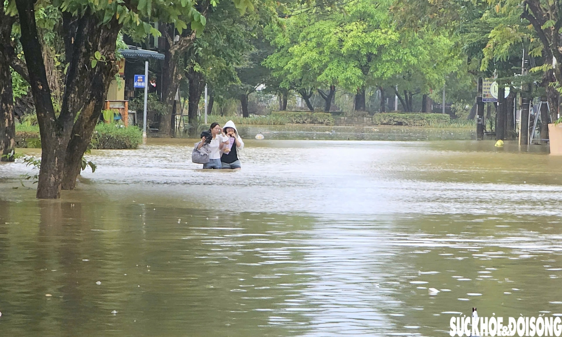 Huế lại ngập, người dân hối hả đưa ô tô, xe máy lên cao phòng lũ lần 4- Ảnh 4.