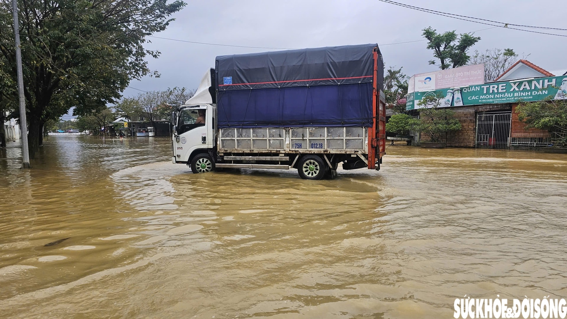 Huế lại ngập, người dân hối hả đưa ô tô, xe máy lên cao phòng lũ lần 4- Ảnh 8.