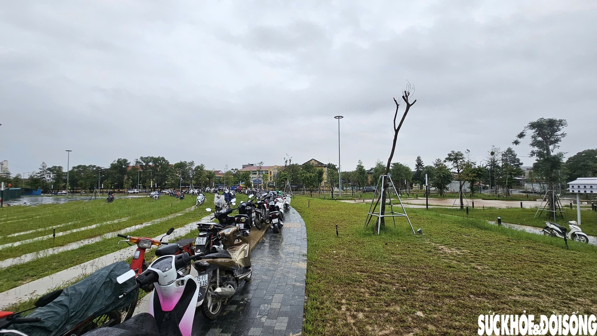 Huế lại ngập, người dân hối hả đưa ô tô, xe máy lên cao phòng lũ lần 4- Ảnh 10.