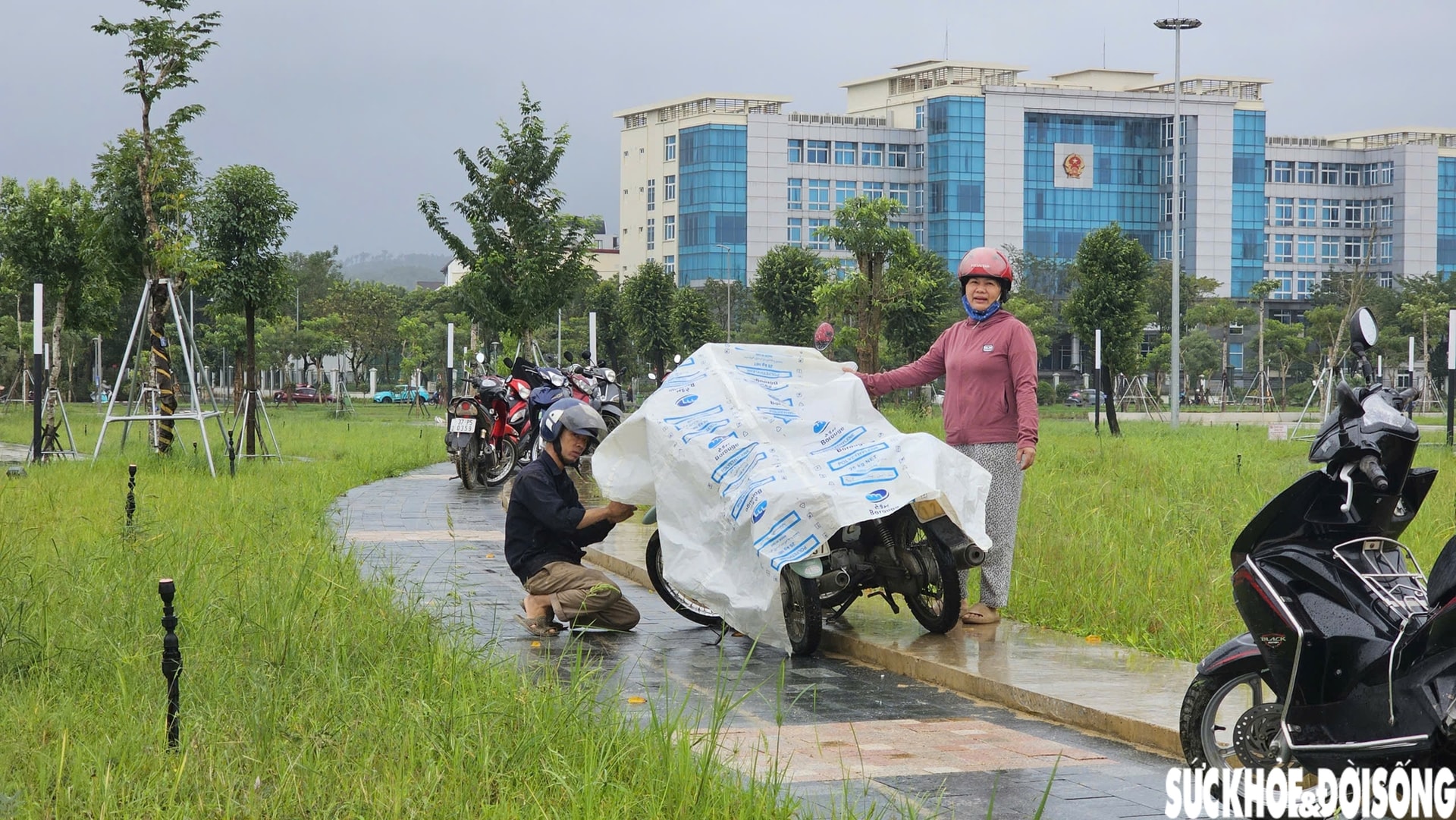 Huế lại ngập, người dân hối hả đưa ô tô, xe máy lên cao phòng lũ lần 4- Ảnh 11.