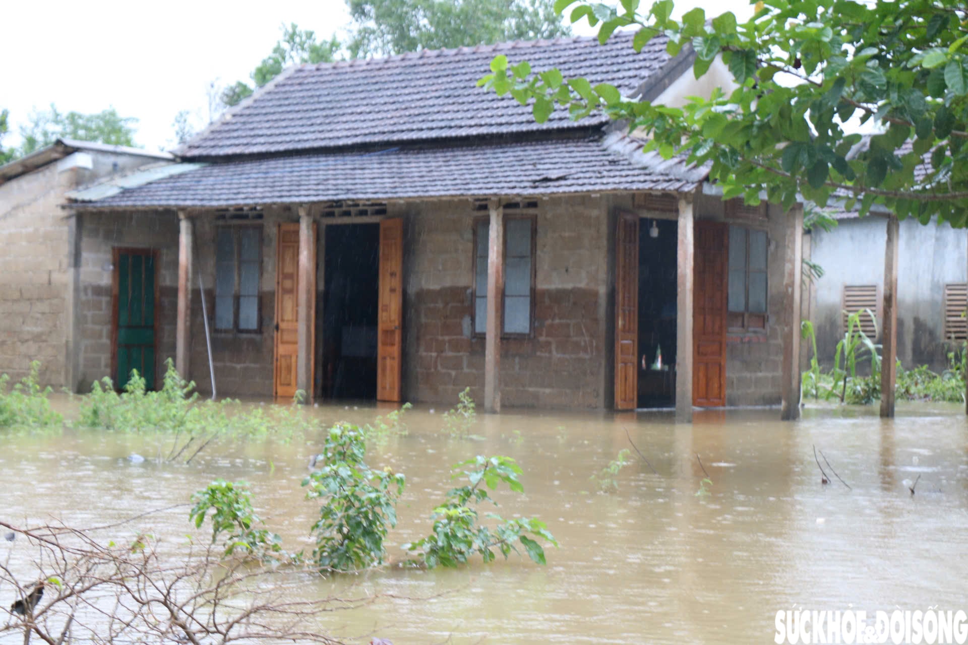 Lũ dâng hơn 2m nhấn chìm ngôi làng miền núi ở Huế- Ảnh 5.