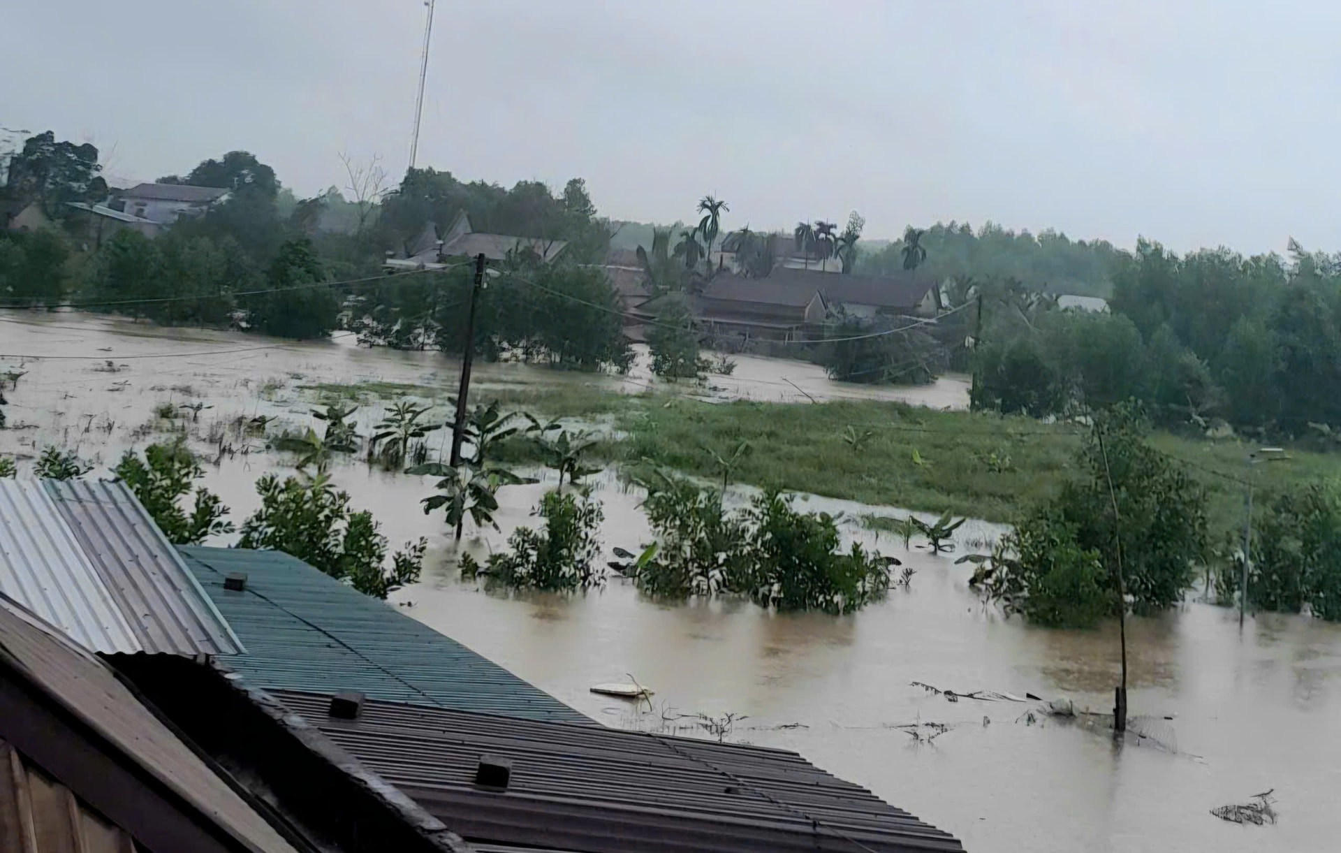 Hơn 170 hộ dân Phong Điền, Huế chìm trong nước lũ- Ảnh 3.