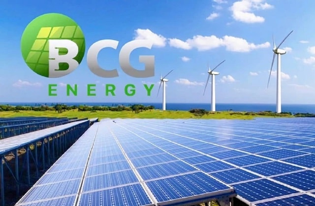 Bamboo Capital giải trình chậm nộp báo cáo tài chính- Ảnh 1.