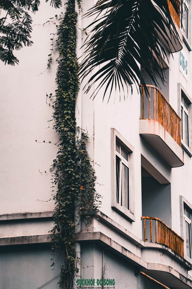 Hà Nội: Cận cảnh khu nhà tái định cư hoang tàn sau hơn 10 năm hoàn thành- Ảnh 3.