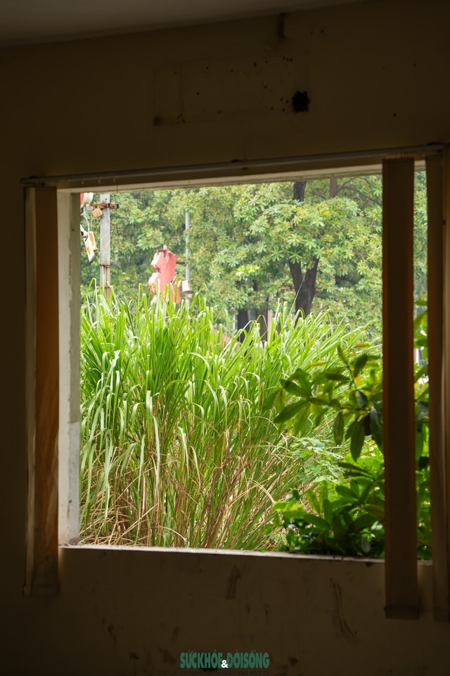 Hà Nội: Cận cảnh khu nhà tái định cư hoang tàn sau hơn 10 năm hoàn thành- Ảnh 8.