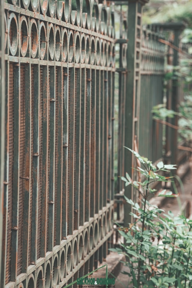 Hà Nội: Cận cảnh khu nhà tái định cư hoang tàn sau hơn 10 năm hoàn thành- Ảnh 9.