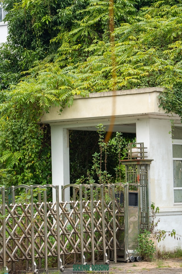 Hà Nội: Cận cảnh khu nhà tái định cư hoang tàn sau hơn 10 năm hoàn thành- Ảnh 10.