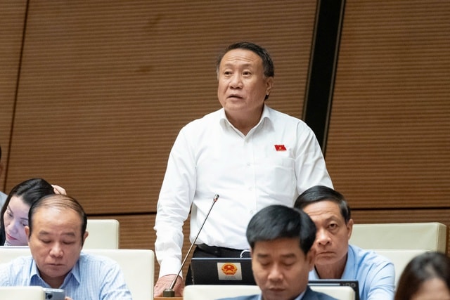 ĐBQH: Quy định ghế trẻ em trên ô tô cần linh hoạt để tránh tạo gánh nặng cho người dân- Ảnh 1. ĐBQH: Quy định ghế trẻ em trên ô tô cần linh hoạt để tránh tạo gánh nặng cho người dân- Ảnh 1.