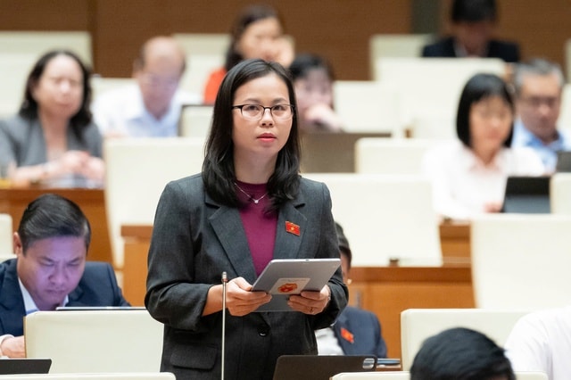 ĐBQH: Quy định ghế trẻ em trên ô tô cần linh hoạt để tránh tạo gánh nặng cho người dân- Ảnh 3. ĐBQH: Quy định ghế trẻ em trên ô tô cần linh hoạt để tránh tạo gánh nặng cho người dân- Ảnh 3.