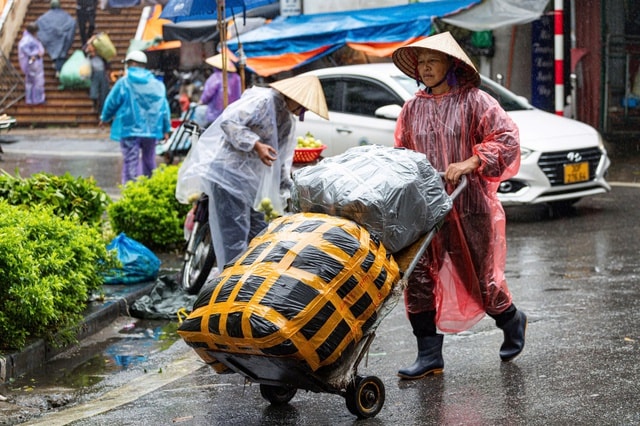 Bộ Nông nghiệp và Môi trường yêu cầu ứng phó khẩn với đợt rét hại - Ảnh 2.