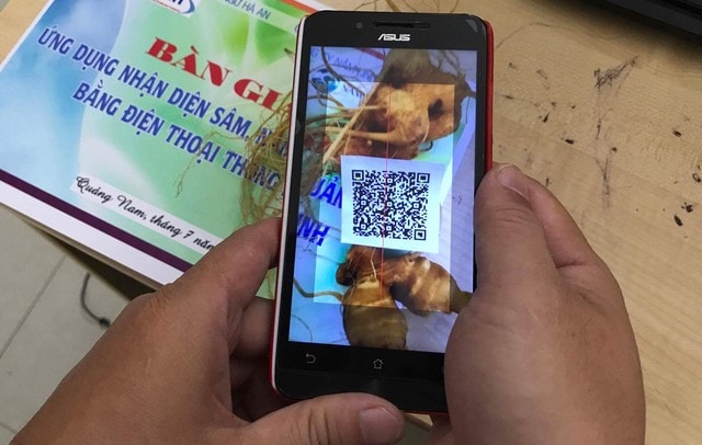 Xây dựng trung tâm sâm Ngọc Linh từ chế biến sâu và cuộc chiến bảo vệ thương hiệu- Ảnh 1. Xây dựng trung tâm sâm Ngọc Linh từ chế biến sâu và cuộc chiến bảo vệ thương hiệu- Ảnh 1.