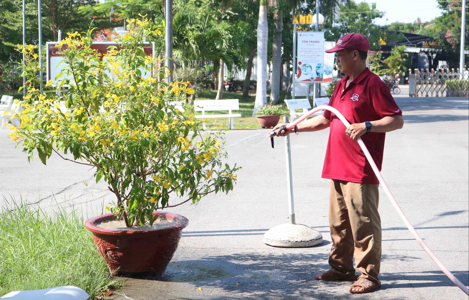 nhân viên cây xanh đang thực hiện nhiệm vụ mỗi buổi sáng trước khi học sinh đến trường