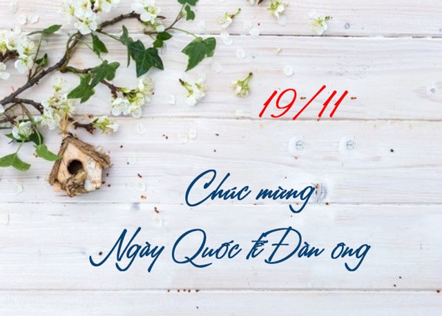Những mẫu thiệp chúc mừng ngày Quốc tế Đàn ông 19/11 đẹp nhất 2025- Ảnh 3. Những mẫu thiệp chúc mừng ngày Quốc tế Đàn ông 19/11 đẹp nhất 2025- Ảnh 3.