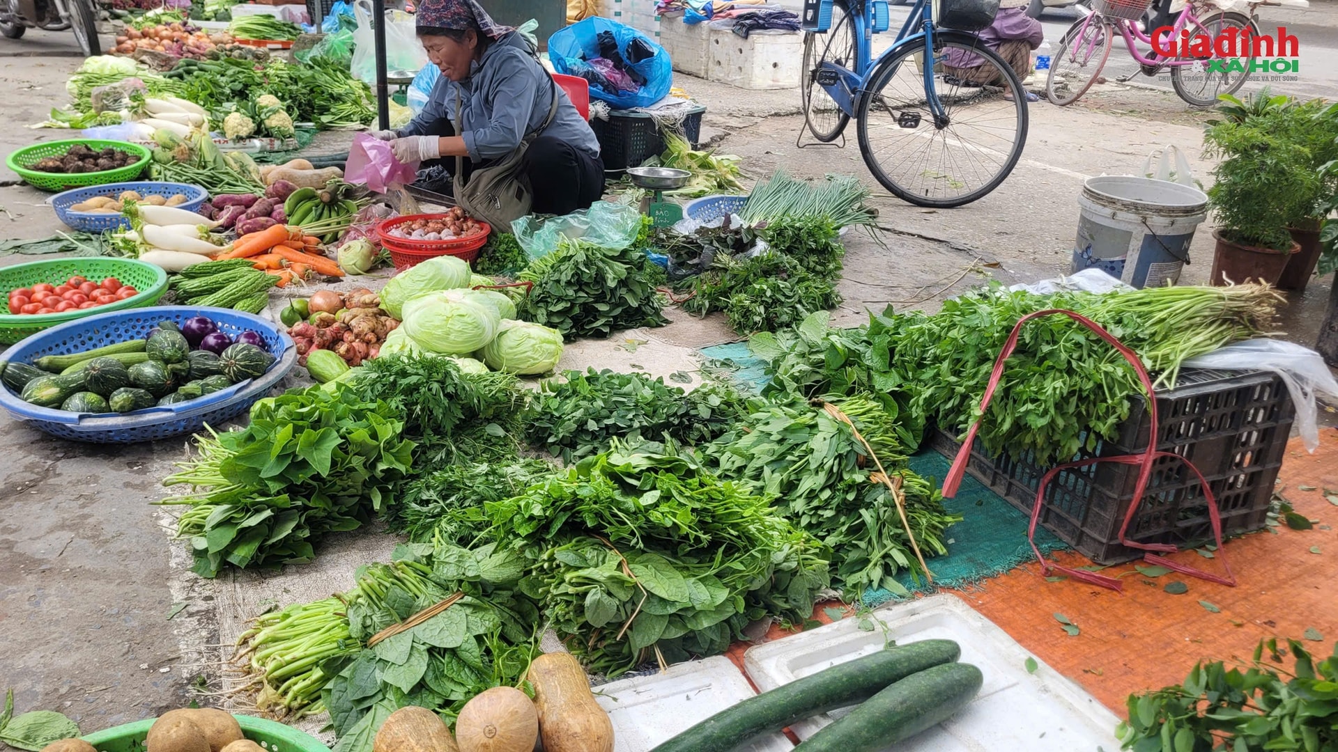 Gia đình thu nhập thấp xoay xở thế nào khi rau xanh là mặt hàng rẻ nhất cũng trở thành xa xỉ sau bão?- Ảnh 1.