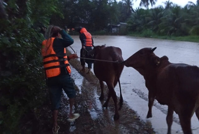 Hồ Sông Cái lớn nhất tỉnh Khánh Hoà tiếp tục vượt mực nước thiết kế, mở 5 cửa van xả lũ- Ảnh 3.