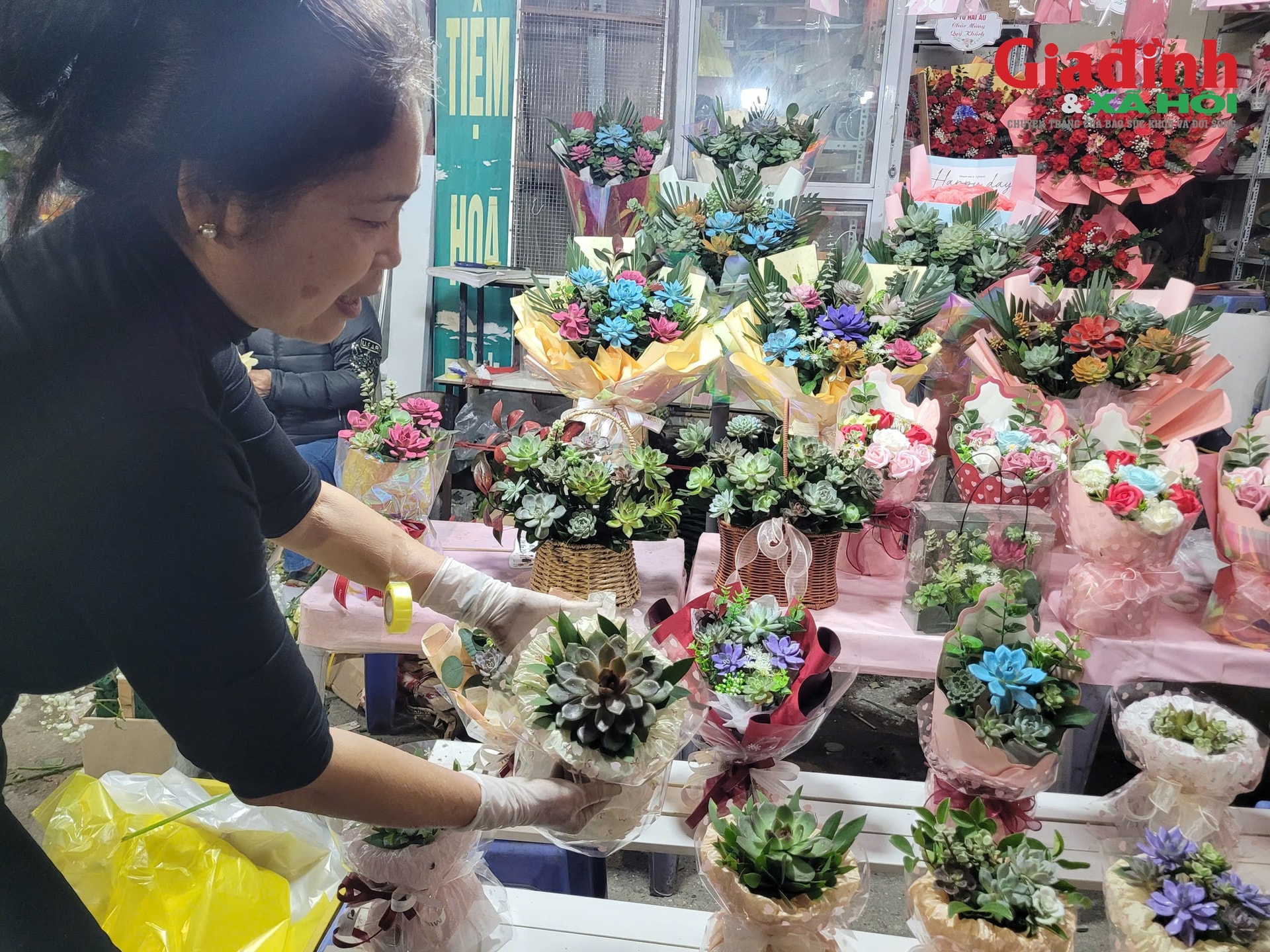 Loại cây cảnh bán chạy giá từ 80.000 đồng được phụ huynh và học sinh săn lùng để làm quà tặng thầy cô- Ảnh 2.