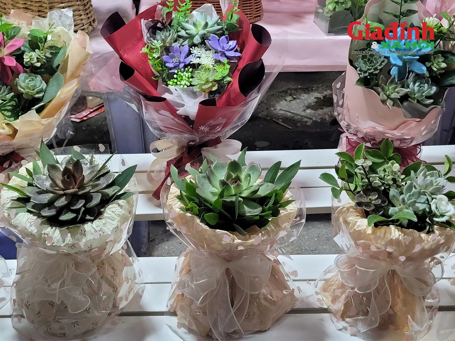 Loại cây cảnh bán chạy giá từ 80.000 đồng được phụ huynh và học sinh săn lùng để làm quà tặng thầy cô- Ảnh 3.