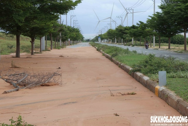 Cát phủ dày trên đường ven biển Mũi Dinh - Cà Ná sau mưa lớn kéo dài- Ảnh 2.