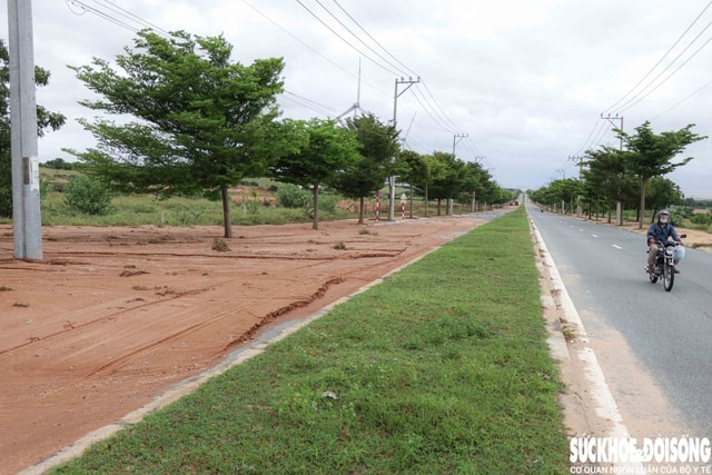 Cát phủ dày trên đường ven biển Mũi Dinh - Cà Ná sau mưa lớn kéo dài- Ảnh 3.