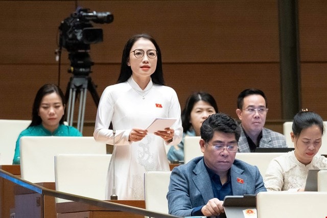 ĐBQH đề nghị bổ sung đào tạo sau đại học lĩnh vực sức khỏe vào hệ thống giáo dục quốc dân- Ảnh 2.