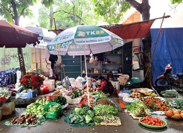 Mâm cơm lèo tèo rau xanh vì giá đắt đỏ- Ảnh 3.