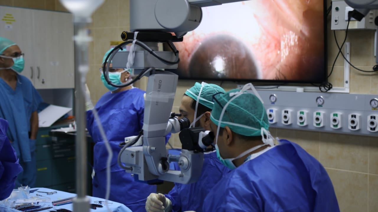 Hồi phục một phần thị lực nhờ giác mạc sinh học in 3D- Ảnh 1.