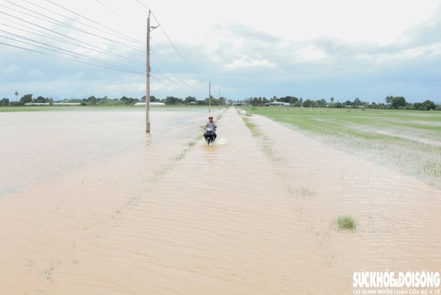 Mưa bão khiến nhà cửa, đường sá ở Khánh Hòa hư hỏng nặng- Ảnh 5.
