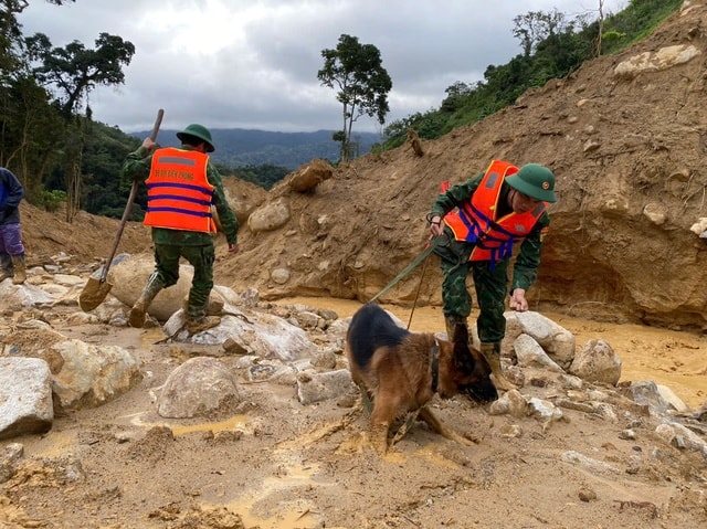 Nỗ lực tìm kiếm 2 nạn nhân còn lại trong vụ sạt lở ở Đà Nẵng- Ảnh 2.