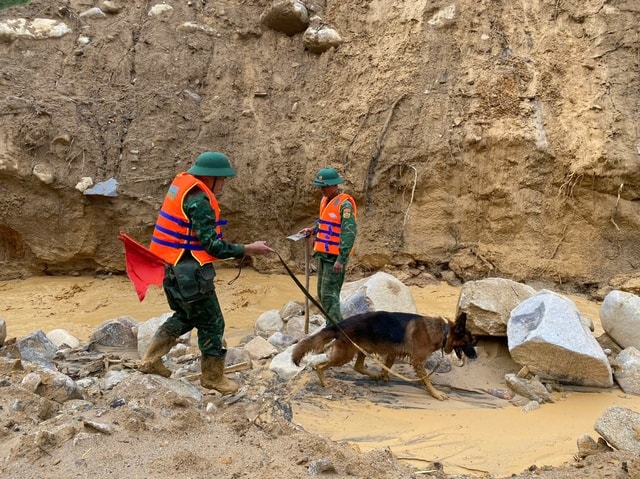 Nỗ lực tìm kiếm 2 nạn nhân còn lại trong vụ sạt lở ở Đà Nẵng- Ảnh 3.