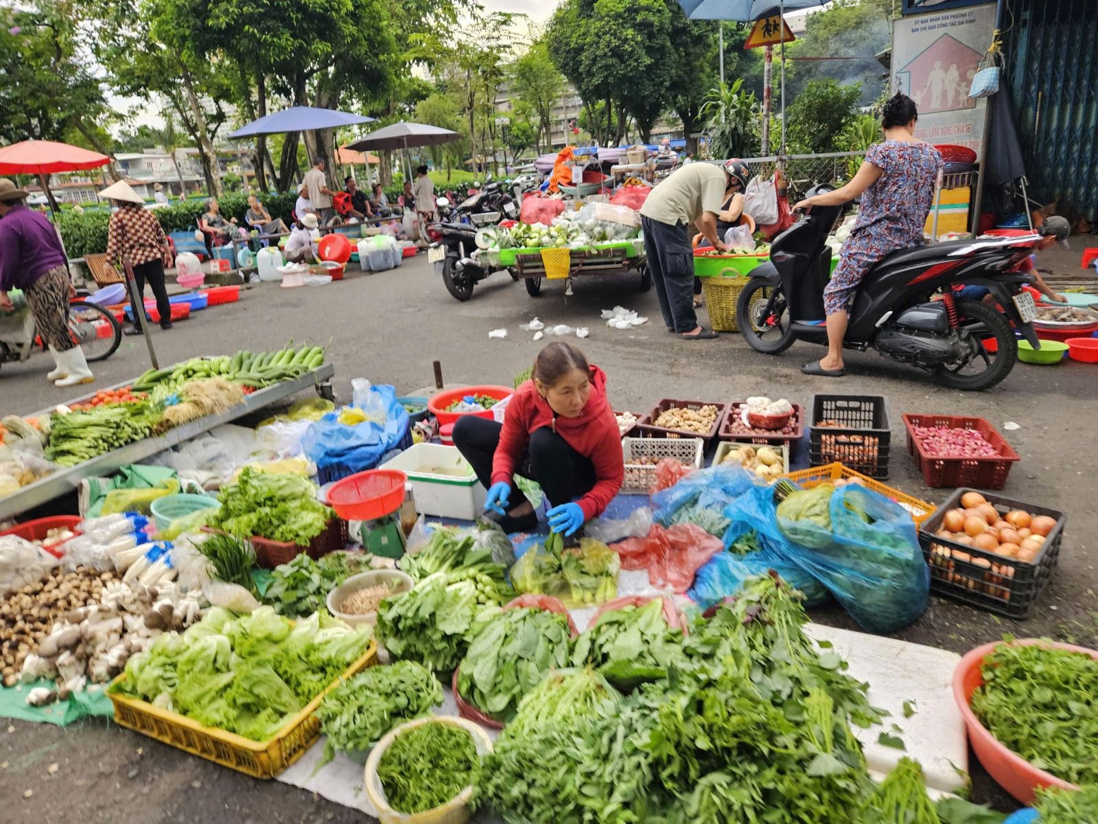 Nguồn hàng hoá phục vụ miền Trung dần ổn định, giá rau tại TP Hồ Chí Minh tăng mạnh- Ảnh 6.