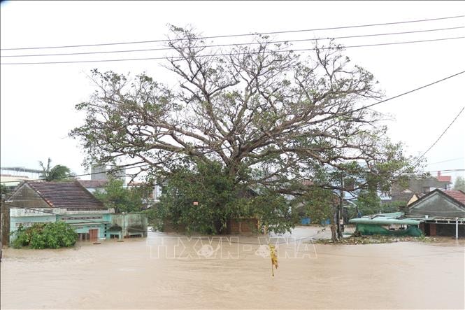 Mưa lũ đã gây thiệt hại hơn 5.300 tỷ đồng tại Đắk Lắk- Ảnh 1.