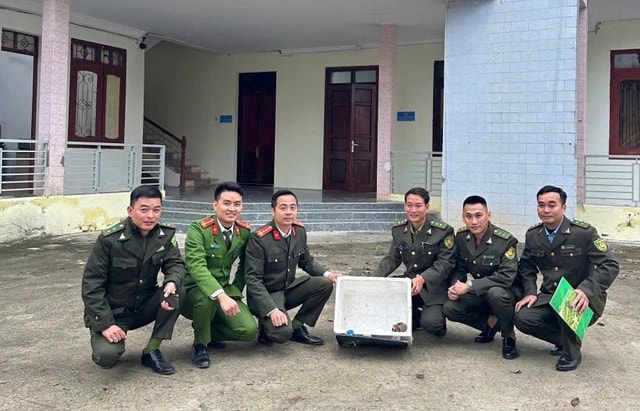 Phát hiện động vật ‘mắc cỡ' quý hiếm  trong sách đỏ giữa đồi keo- Ảnh 2.