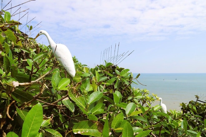 Chim hoang dã mắc kẹt trong ma trận bẫy giữa lưng chừng trời- Ảnh 16.