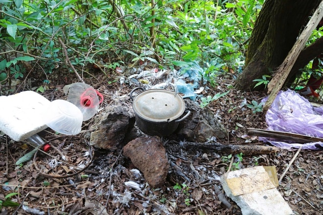 Chim hoang dã mắc kẹt trong ma trận bẫy giữa lưng chừng trời- Ảnh 13.