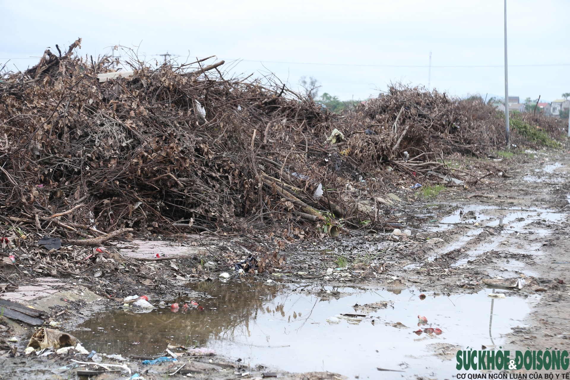 Nghệ An: Rác chất thành núi gây ô nhiễm- Ảnh 8.