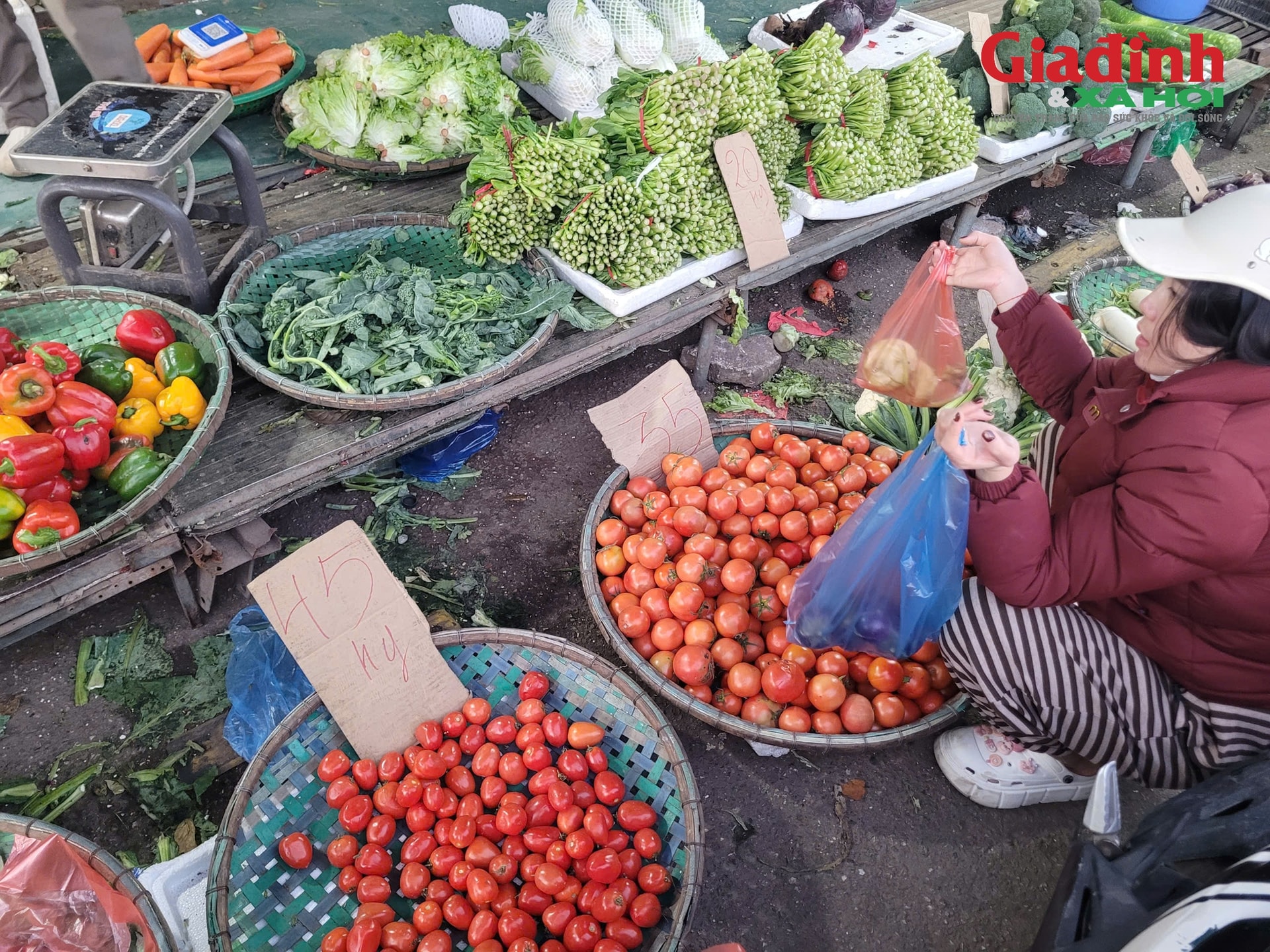 Sau mưa bão, tôm hùm Phú Yên tìm nơi giải cứu từ 180.000 đồng/kg, người dân ở Hà Nội 'đo đếm' từng cọng hành vì rau xanh đắt đỏ- Ảnh 1.
