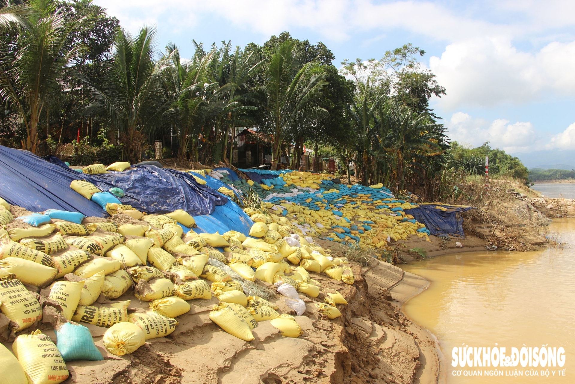 Sạt lở 'đe dọa' hàng trăm hộ dân, Đà Nẵng công bố tình huống khẩn cấp về thiên tai- Ảnh 1.
