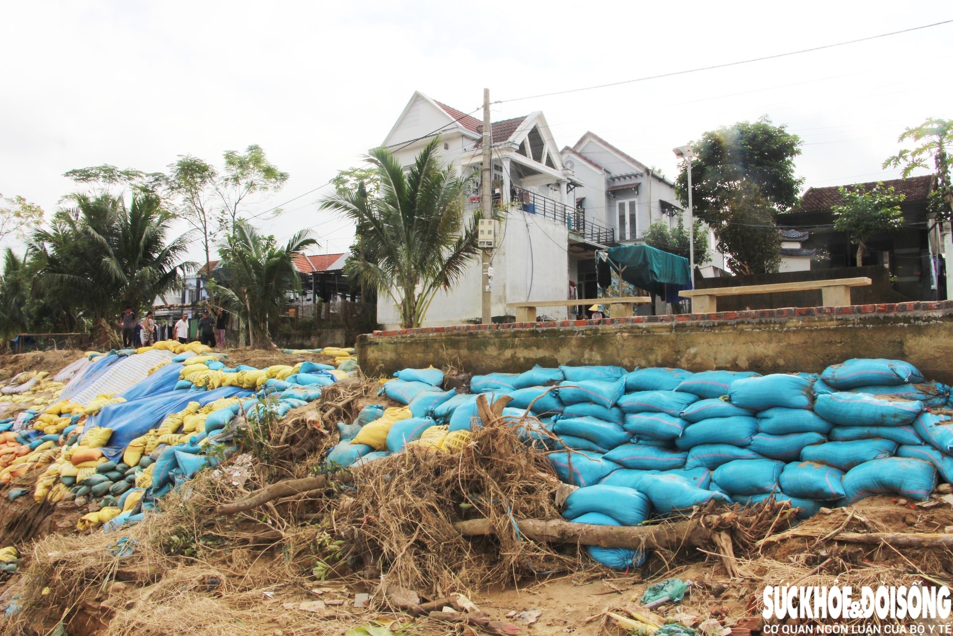 Sạt lở 'đe dọa' hàng trăm hộ dân, Đà Nẵng công bố tình huống khẩn cấp về thiên tai- Ảnh 2.