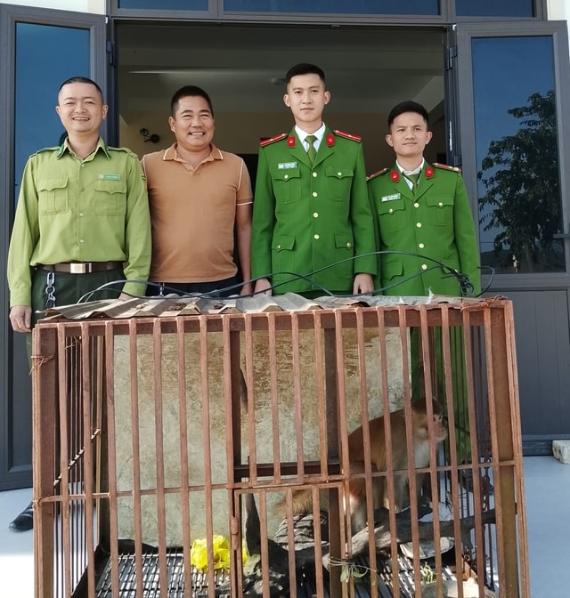 Tiếp nhận cá thể khỉ vàng quý hiếm do người dân tự nguyện giao nộp- Ảnh 1.