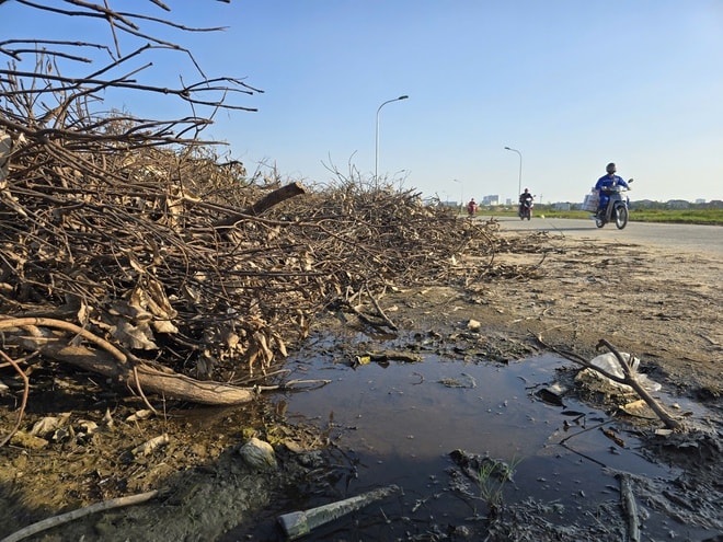 Nghệ An: Rác chất thành núi gây ô nhiễm- Ảnh 11.