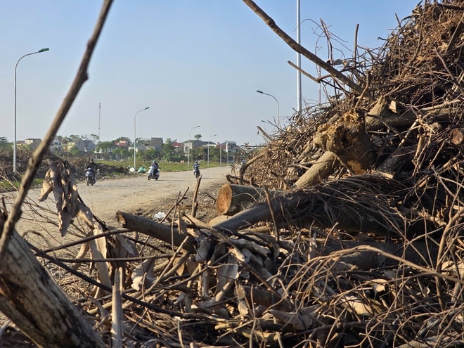 Nghệ An: Rác chất thành núi gây ô nhiễm- Ảnh 10.