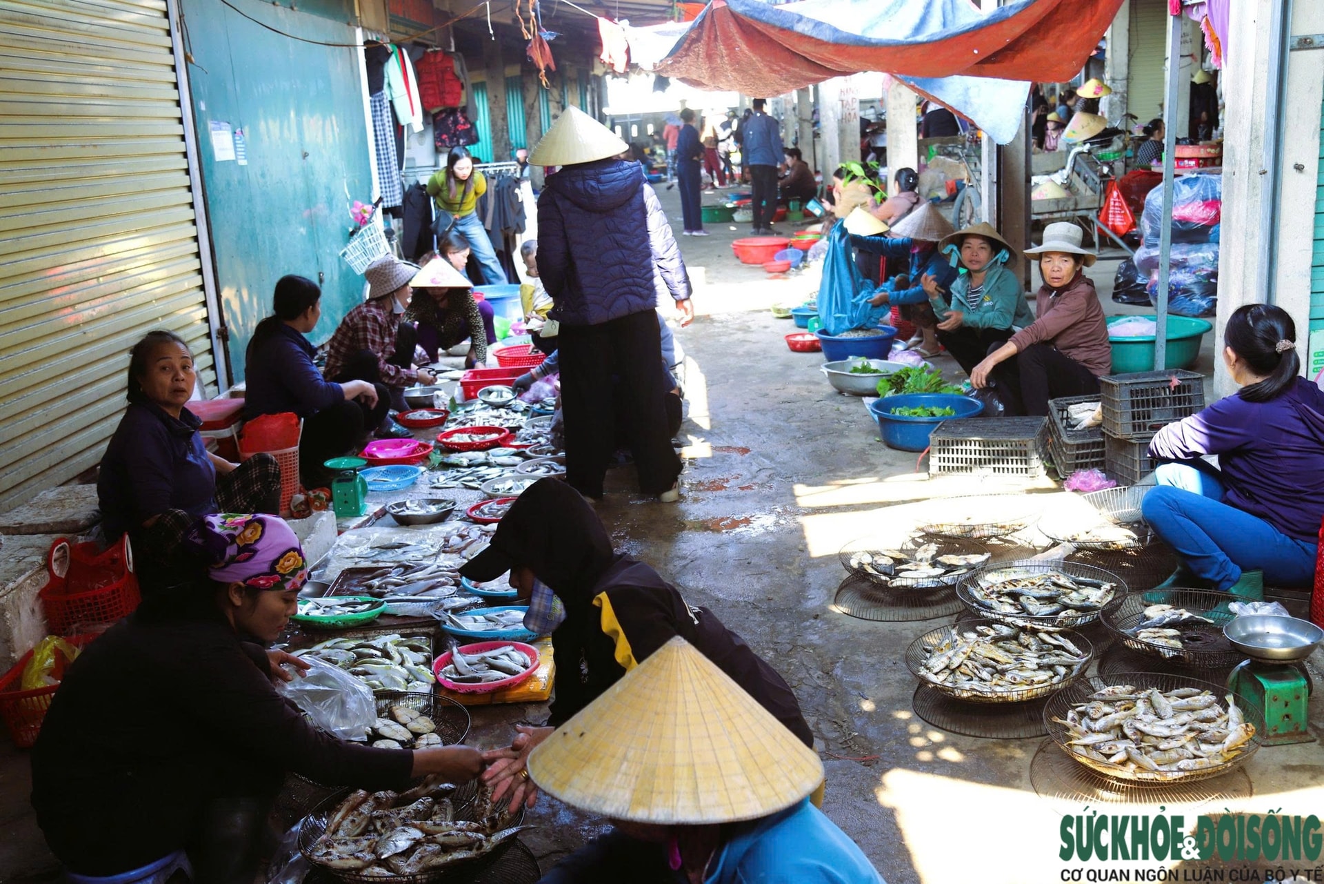 Bất chấp cảnh báo, người dân ven biển vẫn bày bán tràn lan loại cá chứa độc tố cực mạnh- Ảnh 2.