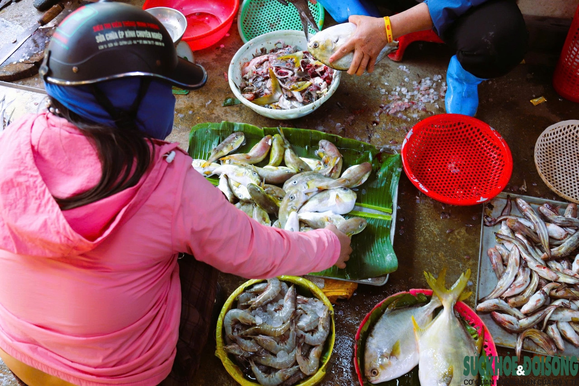 Bất chấp cảnh báo, người dân ven biển vẫn bày bán tràn lan loại cá chứa độc tố cực mạnh- Ảnh 3.