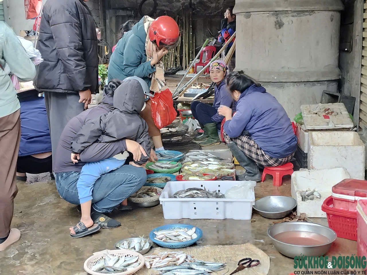 Bất chấp cảnh báo, người dân ven biển vẫn bày bán tràn lan loại cá chứa độc tố cực mạnh- Ảnh 10.